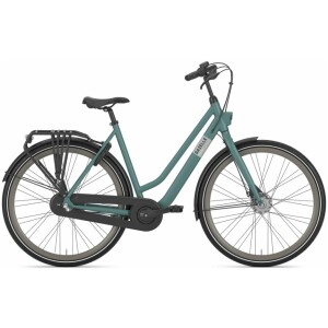 Gazelle Esprit Thyme Green Mat Dames