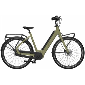Cortina Fiets Common Fam Groen