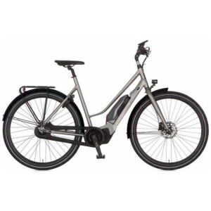 Cortina E-Mozzo Shadow Silver Matt Dames