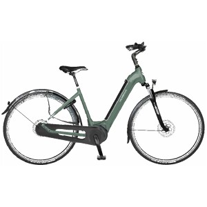 Velo De Ville AEB 490 Pure Eucalyptus Green Mat Dames