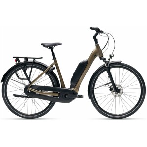 Giant EXPRESSION E+ Pyrite Brown Dames