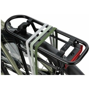 Batavus Senz Comfort Groengrijs Dames